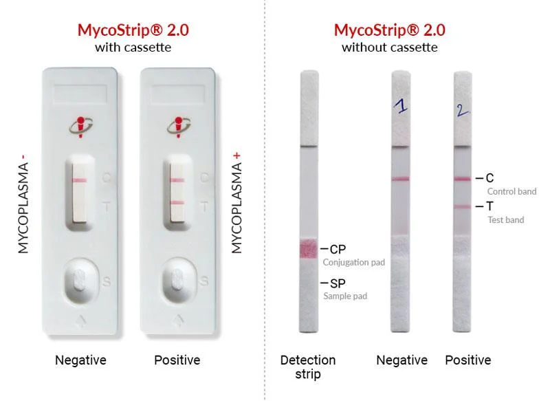 Představujeme MycoStrip® 2.0 s 20 % slevou - BARIA