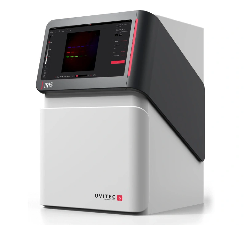 Chemiluminiscence and Epifluorescence Workshop: Demonstration of documentation system IRIS - BARIA