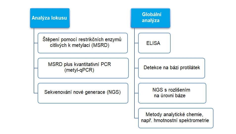 Rychlokurz epigenetiky – 3. část - BARIA