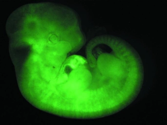 Fluorescenční mikroskopie - BARIA