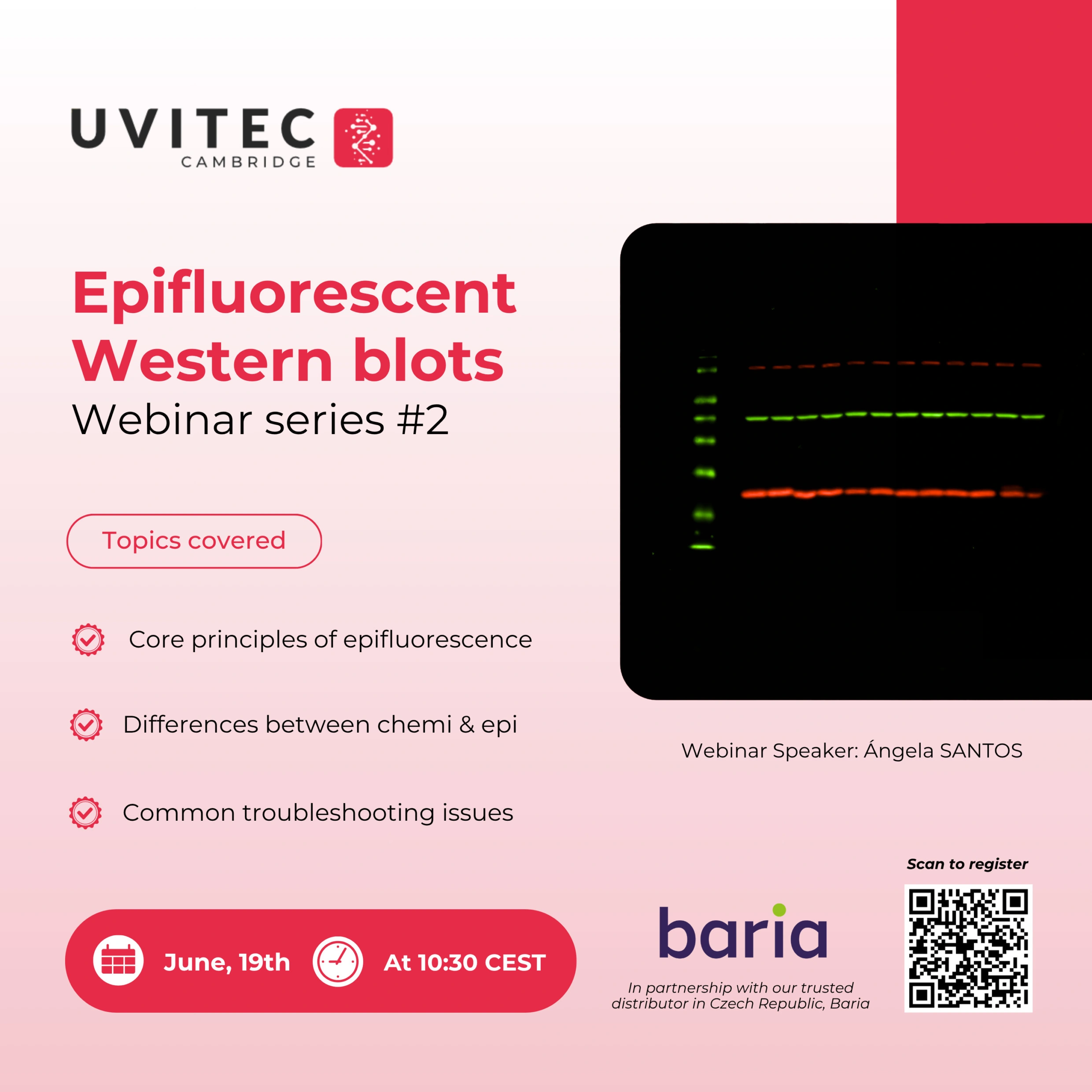 Epifluorescenční Western blotting – 2. díl odborné série webinářů - BARIA