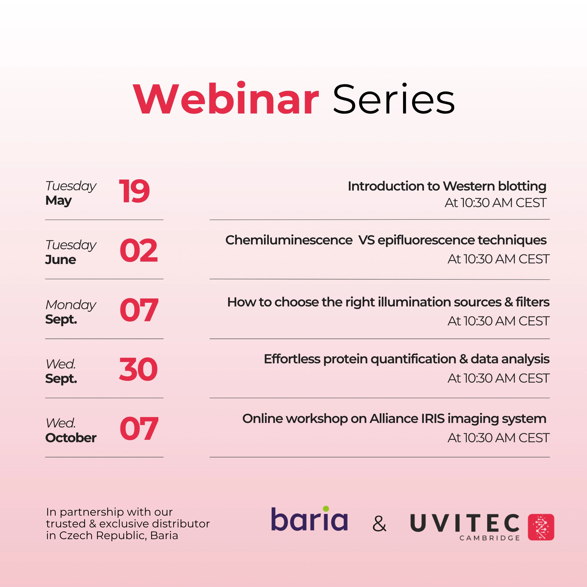 Úvod do Western blottingu – 1. díl odborné série webinářů - BARIA