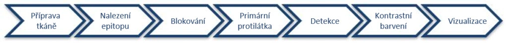Imunohistochemie: typický pracovní postup - BARIA