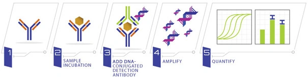 RayBiotech's Immuno-Quantitative ELISA (IQELISA) - BARIA