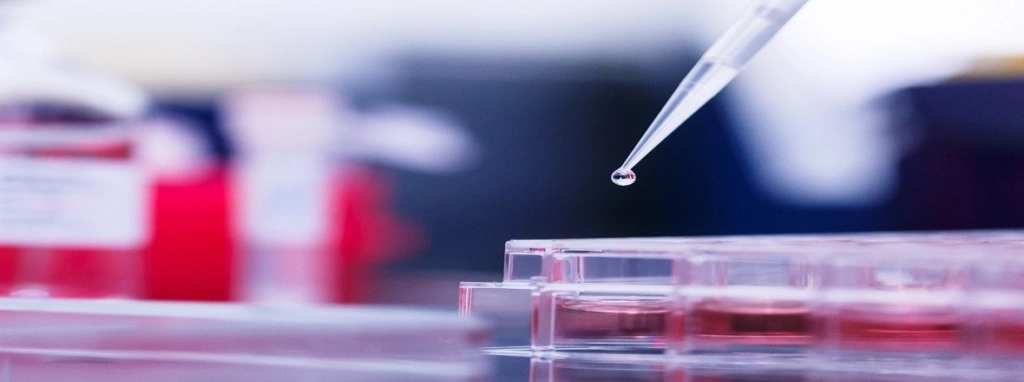 7 tipů pro optimální DNA transfekci - BARIA