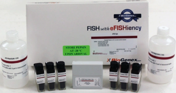 ISH - BARIA
