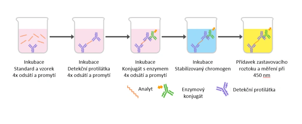Potýkáte se často u metody ELISA s těmito problémy? - BARIA