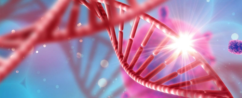 Rychlokurz epigenetiky – 2. část - BARIA