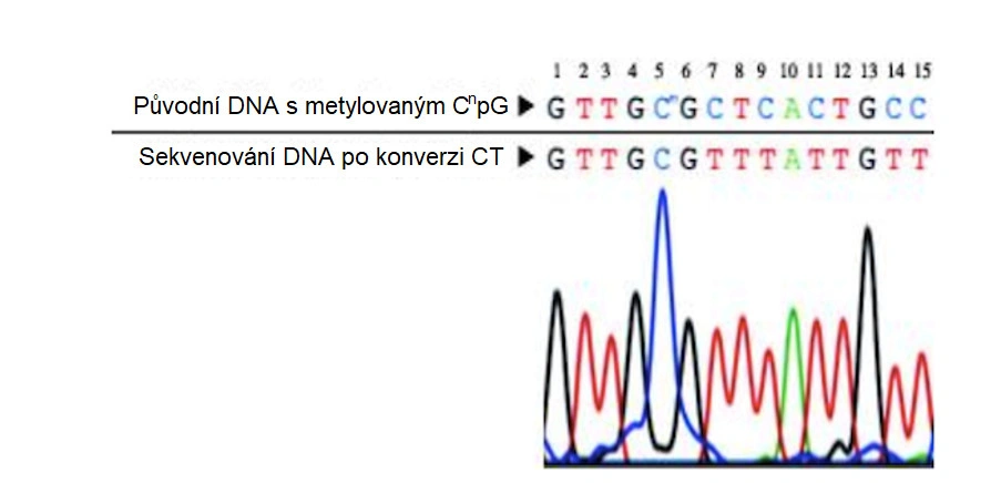 Rychlokurz epigenetiky – 2. část - BARIA