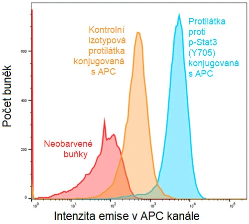 7 způsobů, jak studovat fosforylaci proteinů - BARIA