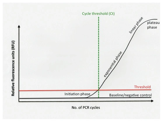 Celá pravda o Real-Time PCR – 1. část - BARIA