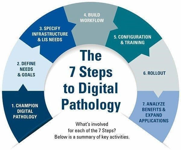Digitální patologie - BARIA