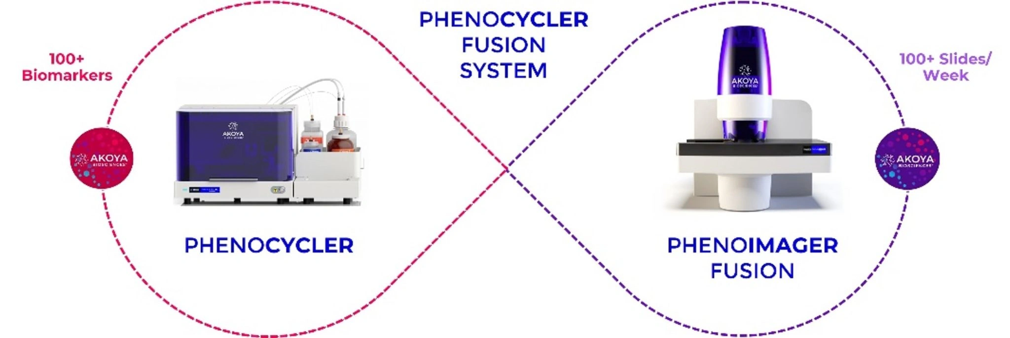 10 důvodů pro nadšení z PhenoCycler-Fusion - BARIA