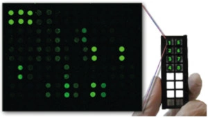 ELISA, Multiplex array, Western blot a RIA - která metoda je „ta pravá“? - BARIA