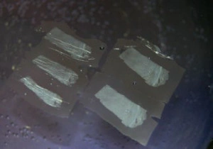 Příprava parafínových řezů na mikrotomu - BARIA
