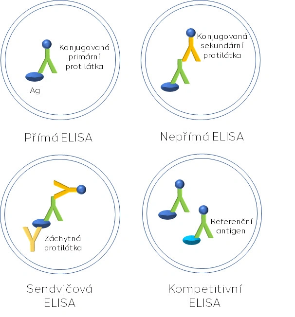 Metoda ELISA - aspekty jednotlivých uspořádání - BARIA