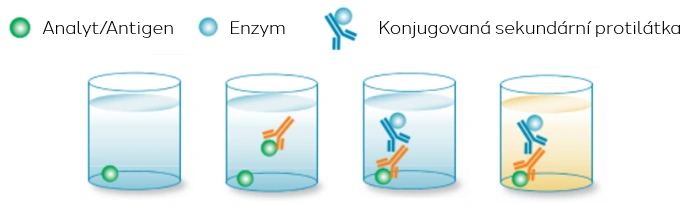 ELISA, Multiplex array, Western blot a RIA - která metoda je „ta pravá“? - BARIA