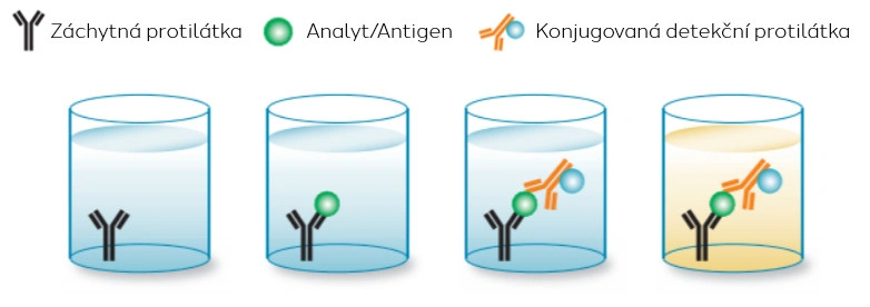 ELISA, Multiplex array, Western blot a RIA - která metoda je „ta pravá“? - BARIA