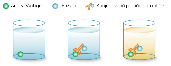 ELISA, Multiplex array, Western blot a RIA - která metoda je „ta pravá“? - BARIA
