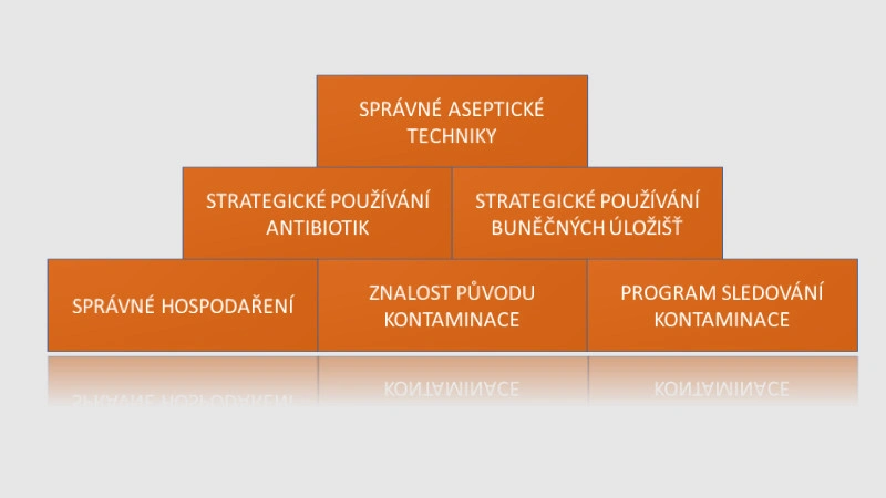 Příručka k zvládání a proniknutí do problematiky kontaminace buněčných kultur - BARIA